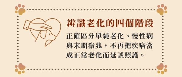 辨識老化的四個階段