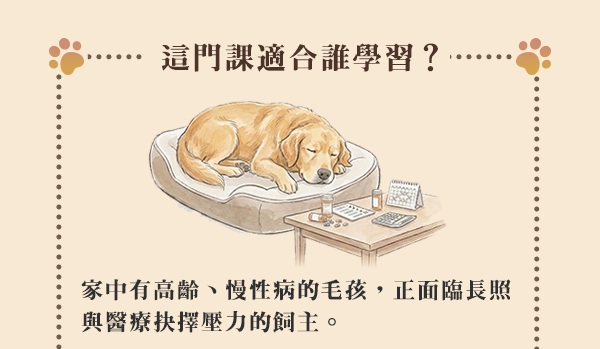 家中有高齡、慢性病的毛孩，正面臨長照與醫療抉擇壓力的飼主。