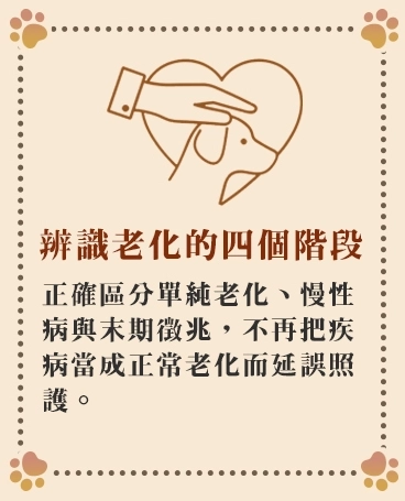 辨識老化的四個階段